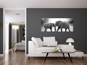 Tablou cu elefanți (120x50 cm)