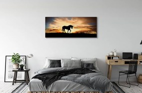 Tablouri canvas apus de soare Unicorn