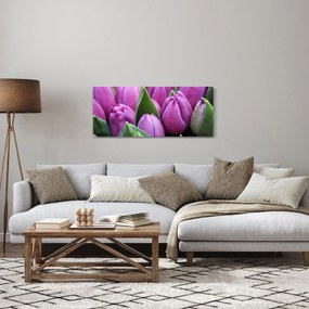 Tablou - florile lalelelor (120x50 cm)