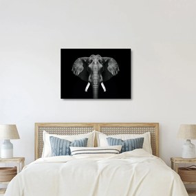 Tablou pe sticlă - Elefant pe fundal negru (70x50 cm)
