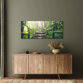 Tablou - trepte din lemn în pădure (120x50 cm)