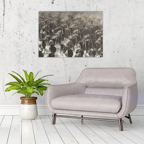 Tablou - Turmă de antilope sălbatice (70x50 cm)