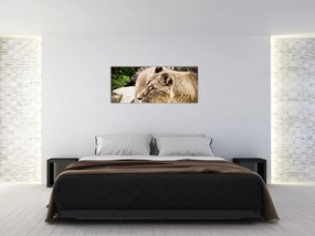 Tablou cu leoaică (120x50 cm)