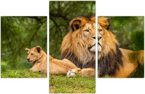 Tablou cu lei (90x60 cm)