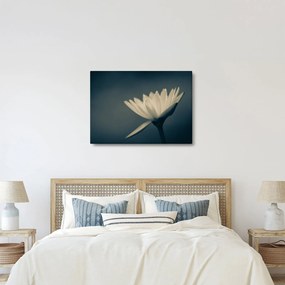 Tablou cu flori (70x50 cm)