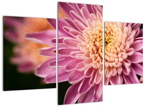 Tablou detailat cu flori (90x60 cm)