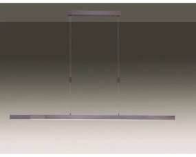 Lustră LED dimabilă pe cablu Paul Neuhaus 2568-24 ADRIANA LED/14W/230V