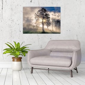 Tablou pe sticlă cu copac în ceață (70x50 cm)