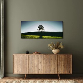 Tablou cu natura - copac (120x50 cm)
