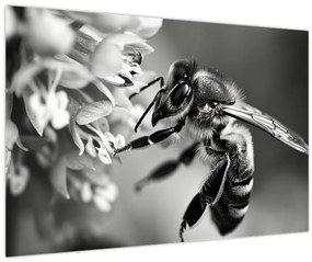 Tablou - Detaliu de albină (90x60 cm)