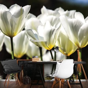 Fototapet - Flori pe apă (152,5x104 cm)