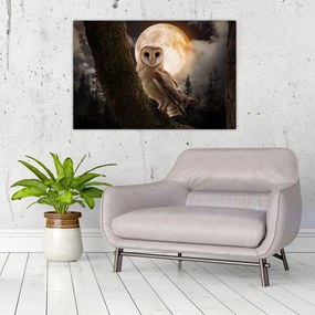 Tablou cu bufnița (90x60 cm)
