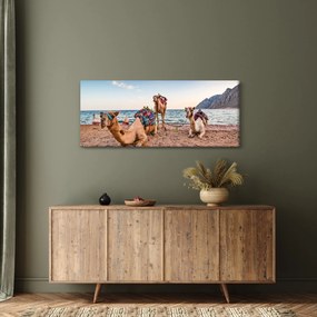 Tablou cu cămile (120x50 cm)