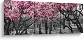 Tablou copacului magnolie (cu ceas) (90x30 cm)