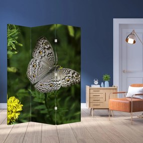 Paravan - Fluture alb (126x170 cm)