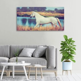Tablou canvas White lake horse