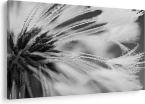 Tablou - Macro,alb-negru (90x60 cm)