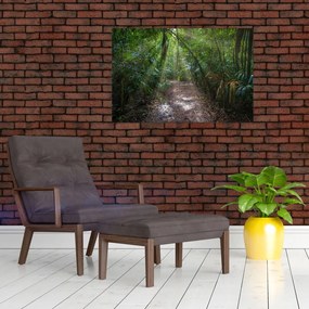 Tablou - Razele solare în junglă (90x60 cm)