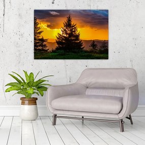 Tablou - coniferi (90x60 cm)