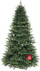 Molid de Himalaia 150 cm