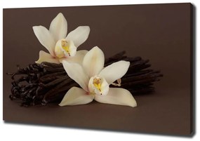 Tablou pe pânză Vanilie pod