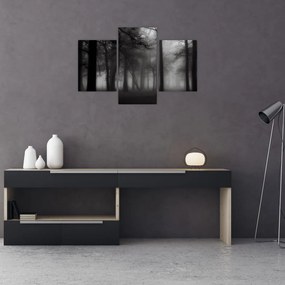 Tablou - Pădure în ceață (90x60 cm)