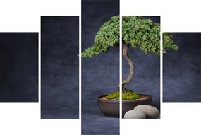 Tablou - Bonsai (150x105 cm)