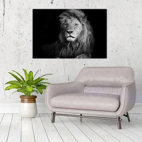 Tablou - Leu, alb și negru (90x60 cm)