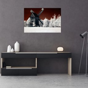 Tablou cu moară (90x60 cm)