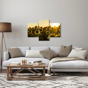 Tablou cu lan de floarea soarelui (90x60 cm)