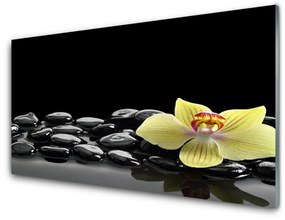 Tablou pe sticla Pietre de flori Bucătărie Galben Negru