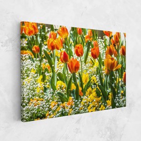 Tablou Canvas, 20x30cm, Dormitor si Living, Flori, Flori in natura, Colorful Tulips Garden