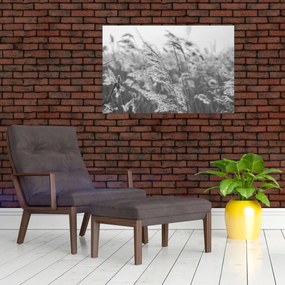 Tablou - Iarba în vânt (90x60 cm)