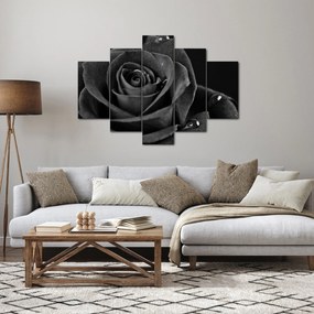 Tablou - Trandafir roșu aprins (150x105 cm)