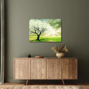 Tablou pe sticlă cu copaci pe luncă (70x50 cm)