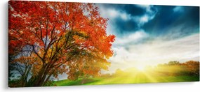 Tablou peisaj cu scufundat în razele solare (120x50 cm)