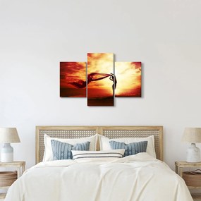 Tablou - Silueta femeii la apus de soare (90x60 cm)