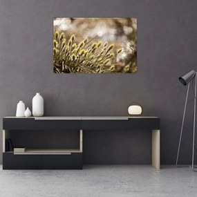 Tablou - Verde (90x60 cm)