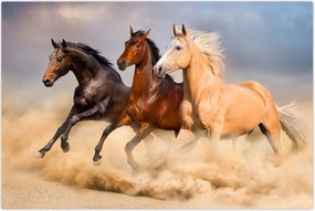 Tablou - Cai sălbatici (90x60 cm)