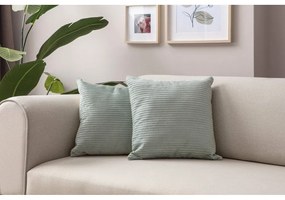 Fețe de pernă 2 buc. din catifea reiată 43x43 cm – Mioli Decor