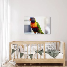 Tablou cu papagal (90x60 cm)