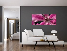 Tablou cu floarea roz de clematis (120x50 cm)