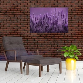 Tablou - Lavanda (90x60 cm)