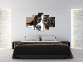 Tablou cu câine (150x105 cm)