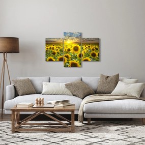 Tablou - Floarea-soarelui la apus de soare (90x60 cm)
