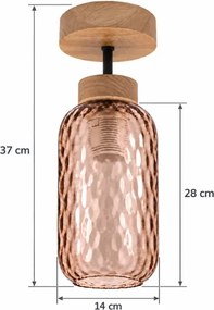 BRILAGI - LED Lustră aplicată R GLASS 1xE27/60W/230V Ø 14 cm stejar/maro fumuriu