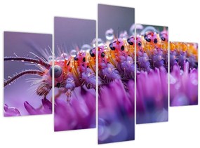 Tablou - Caterpillar (150x105 cm)