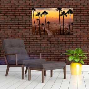 Tablou - Panorama din Los Angeles (90x60 cm)
