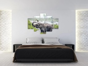 Tablou - Elefant de scăldat (150x105 cm)