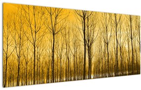 Tablou cu pădure în apus de soare (120x50 cm)